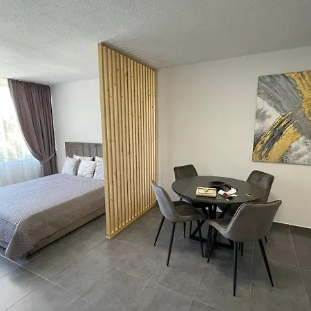 Cozy, Modern Studio Appartement